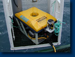 ROV dive cage launch